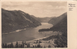 D6639) WEISSENSEE In Kärnten - Gegen Osten - 1939 - Weissensee