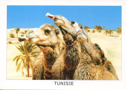 Postcard (camels Drinking Coca-cola) // Carte Postale ( Chameaux Buvant Du Coca-cola ) - Cartes Postales