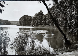 Berlin - Zehlendorf - Krumme Lanke - Zehlendorf