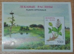 BELARUS 1996, Flowers, Medicinal Plants, Imperf, Mi #B11, Souvenir Sheet, MNH** - Plantes Médicinales