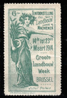 VV-144 1914 Brussel Tentoonstelling Musique Vignette MNH** - Other & Unclassified