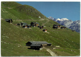 Kühboden Ob Fiesch An Der Eggishornbahn Galmihorn - Fiesch