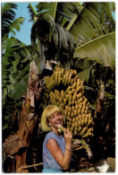 Canarias - Plataneras Y Bananas - Other & Unclassified