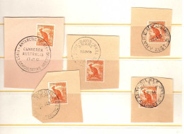 Australie - Territoires Antarctiques - Timbres D'Australie - Obliteres - En Antarctique - - Used Stamps