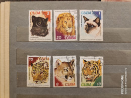 1977	Cuba	Cats (F53) - Gebraucht