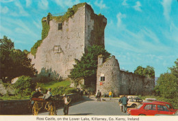 Irlande - Kerry  -   Ross Castle - Limerick
