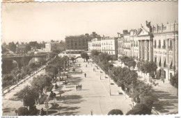 POSTAL  MURCIA  -ESPAÑA  -GLORIETA DE ESPAÑA Y AYUNTAMIENTO - Murcia