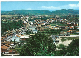 VISTA PARCIAL / VUE PARTIELLE / THE PARTIAL VIEW.- MONFORTE DE LEMOS - LUGO.- ( ESPAÑA). - Lugo