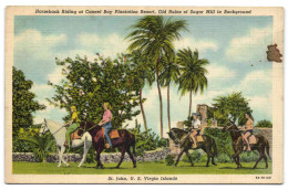 St. John US Virgin Islands - Horseback Riding At Caneel Bay Plantation Resort - Jungferninseln, Amerik.