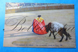 Corrida De Toros  Matador Toreador 3 Cpa Courses De Taureaux - Other & Unclassified