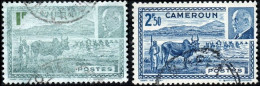 Détail De La Série Maréchal Pétain Obl. Cameroun N° 200 Et 201 Troupeau De Zébus - 1941 Série Maréchal Pétain