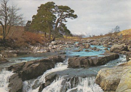 AK 173554 SCOTLAND - The River Moriston - Inverness-shire