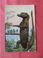 > Black Americana  Alligator. Greetings From Florida    Ref 6230 - Black Americana