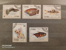 1978	Cuba	Fishes (F60) - Gebraucht