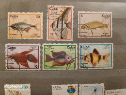 1977	Cuba	Fishes  (F60) - Gebraucht