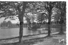 91- VIGNEUX - L' ETANG - Vigneux Sur Seine