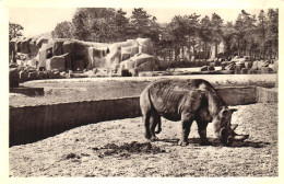 PARIS, BOIS DE VINCENNES, ZOO PARK, RHINOCEROS, FRANCE - Rinoceronte