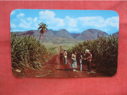 Sugar Fields.  West Maui - Hawaii > Maui       Ref 6231 - Maui