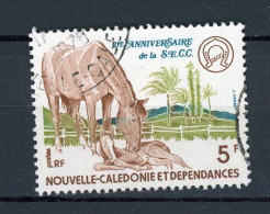 NOUVELLE-CALEDONIE RF : RACE CHEVALINE -  N°Yt 415 Obli. - Gebraucht