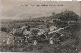 Orgelet, Vue Générale Et Les Tanneries - Orgelet