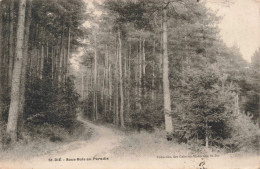 FRANCE - Saint-Dié - Sous Bois Au Paradis - Carte Postale Ancienne - Saint Die