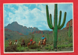 Riders On The Arizona Desert Phoenix CPM  Animation Photo Color RAY MANLEY  IMPECCABLE N° 113375 - Phönix