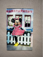Walt Disney World - Minnie Mouse / 2003 Orlando -> Belgium, Hemiksem Mw. De Winter - Disneyworld