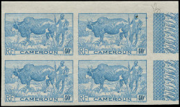 ** CAMEROUN - Poste - 278, Bloc De 4 Non Dentelé, Bdf, Erreur De Couleur: 40c. Bleu-ciel Bœuf (Maury) - Otros & Sin Clasificación