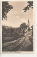 AK Langenzersdorf - Kohlfeldergasse Mit Kirche Bez. Korneuburg - Korneuburg