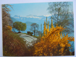 Cpsm Suisse Vierwaldstättersee - Lac Des Quatre-Cantons