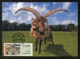 ISLE OF MAN (2023) Carte Maximum Card ATM - Manx Winter Wildlife - Loaghtan Sheep - Isle Of Man