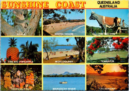 29-10-2023 (5 U 34 A) Australia - QLD - Sunshine Coast - Sunshine Coast