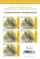 2023 Belgium  Bird Buzin Quail Full Booklet Of 5 Stamps MNH Superb - 2013-... Roi Philippe