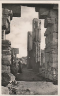 KARNAK - THE HERALDIC PILLARS - REAL PHOTOGRAPH - Pyramiden