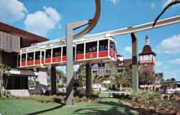 Tampa Busch Garden, USA - Safari Skyrail - Tampa