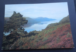 Loch Ness From The South Road Near Fort Augustus, Inverness-shire - DRG - J. Arthur Dixon - Inverness-shire