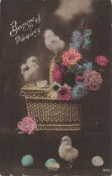FÊTES - VŒUX - Bonnes Pâques - Poussins - Colorisé - Carte Postale Ancienne - Pâques