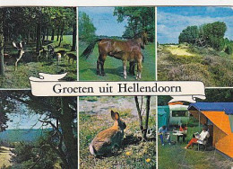 AK 175286 NETHERLANDS - Hellendoorn - Hellendoorn