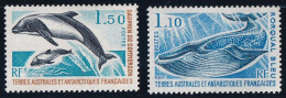T.A.A.F. N°64/65 - Neuf ** Sans Charnière - TB - Unused Stamps