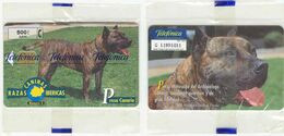 Razas Caninas Ibericas  PRESA CANARIO  Nueva, Precintada 5.300 Ex - Private Issues