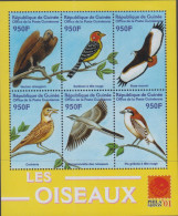BIRDS - GUINEE REP -  2001 - PHILANIPPON BIRDS SHEETLET OF 6 MINT NEVER HINGED - Kolibries