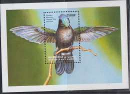 BIRDS - GUINEE REP -  HUMMINGBIRD SOUVENIR MINT NEVER HINGED - Kolibries
