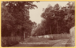 The Rise Corner - Sunningdale Berks. England - Packer's Series - Bicycle, Cyclist - Sonstige & Ohne Zuordnung