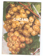 CINZANO 1757 - IL VERMOUTH E LO STABILIMENTO ENOLOGICO CINZANO - To Identify