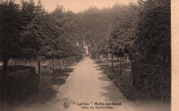 Melle (Caritas) - Allée Du Sacré Coeur - Melle