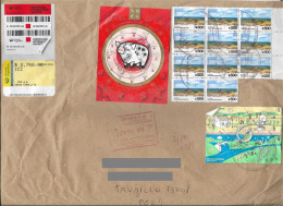 Argentina Jumbo Registered Cover With Recent Year Of The Pig , Energy And Pampa Park Stamps Sent To Peru - Usati