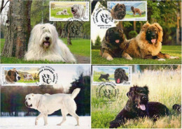 Russia Russland Russie 2015 Fauna Service Dogs Breeds Set Of 4 Maxicards - Maximum Cards