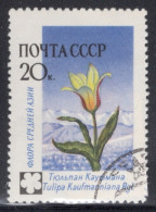 Russia 1960 Single Stamp Issued To Celebrate Flowers In Fine Used Condition. - Used Stamps