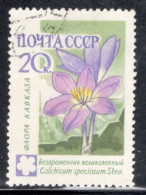 Russia 1960 Single Stamp Issued To Celebrate Flowers In Fine Used Condition. - Used Stamps