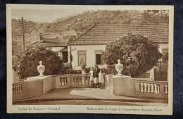 C6 /1 -  Balaustrada Do Largo Do Conselheiro Amadeu Pinto * Caldas De Arêgos * Viseu * Portugal - Viseu